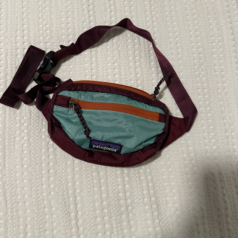 Patagonia Fanny Pack